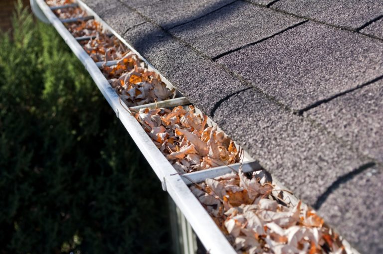 Are Gutter Guards worth the money? Good to go gutters
