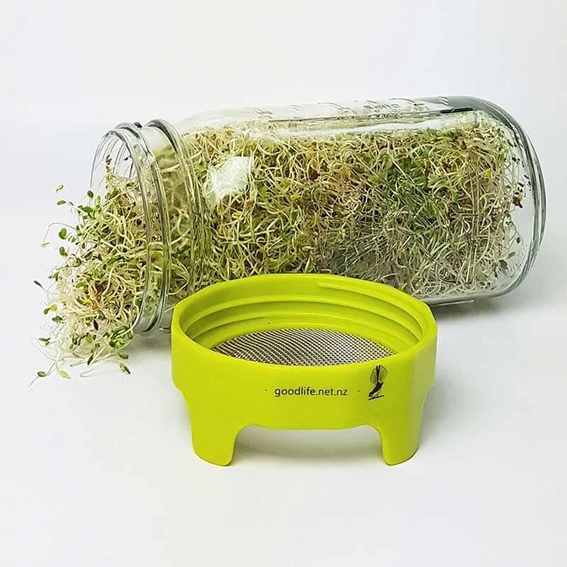 Sprouting Jar Kit Shipped from NZ GoodToHave