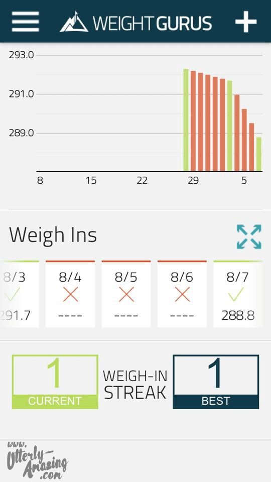 Weight Gurus Scale Review