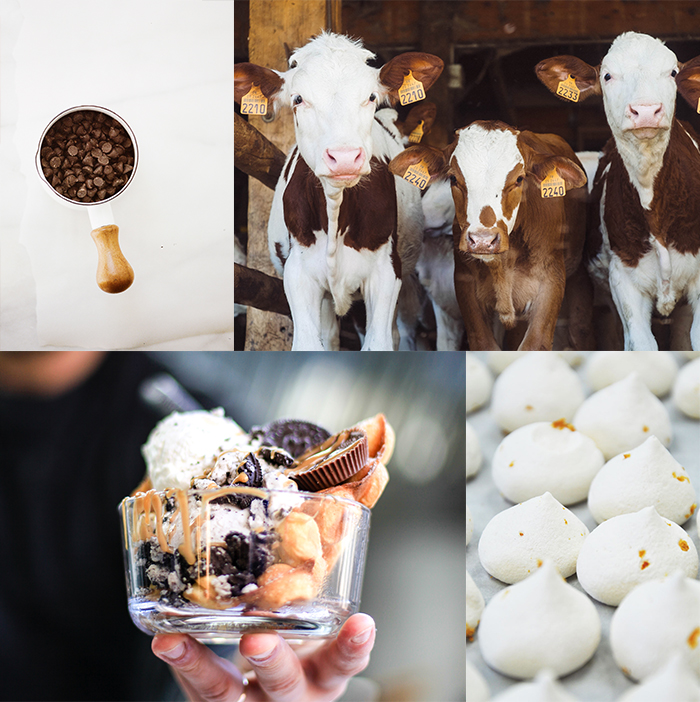 Good Waffles & Co. SWEET & SAVORY NOVELTY WAFFLES