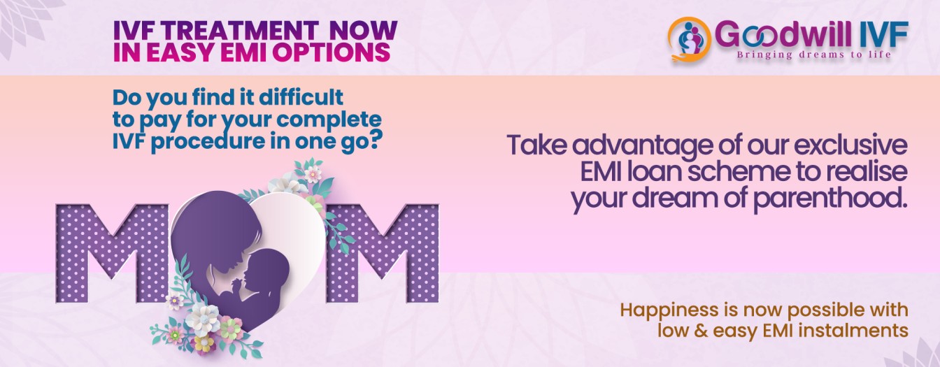 IVF Loan Goodwill IVF