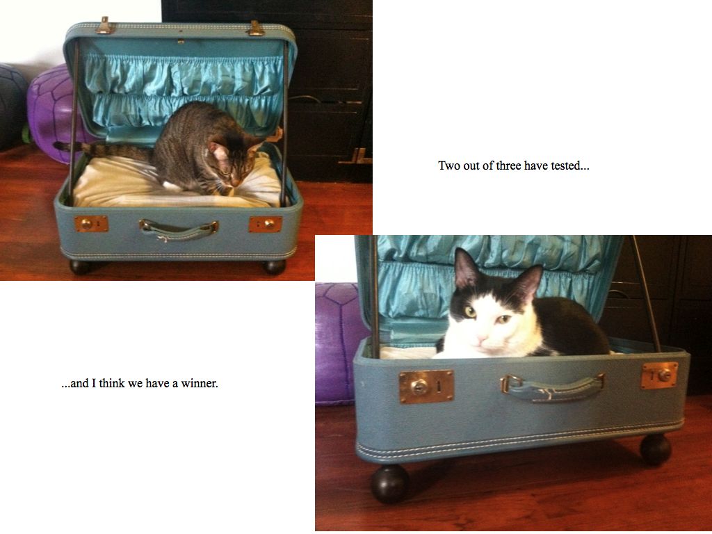 Guest Post DIY pet beds Goodwill Southern Piedmont