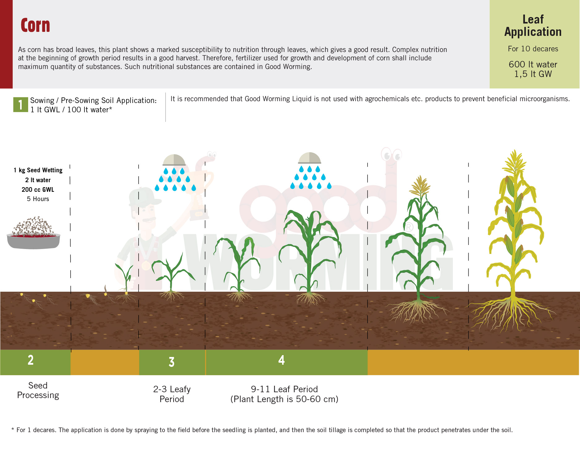 INDCorn Good Worming