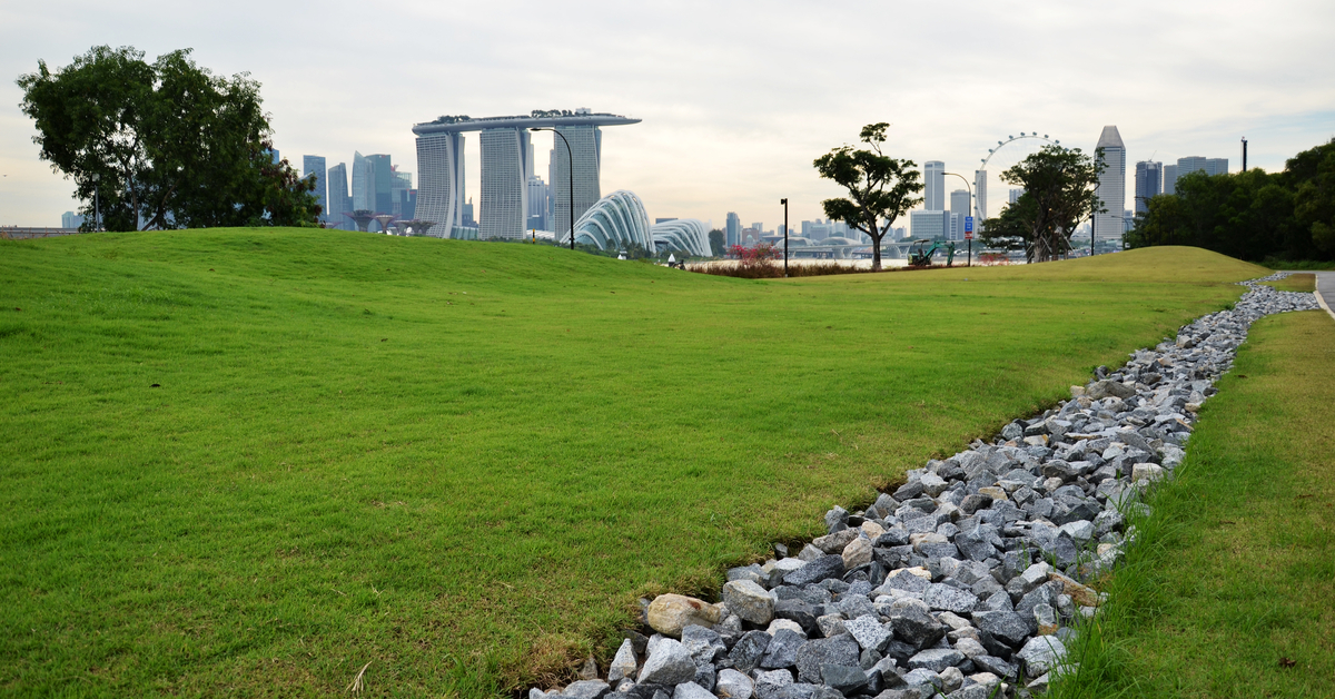 Plants Can Feel Pain Study Shows Plants Scream When They Are Cut Or Deprived Of Water Goody Feed