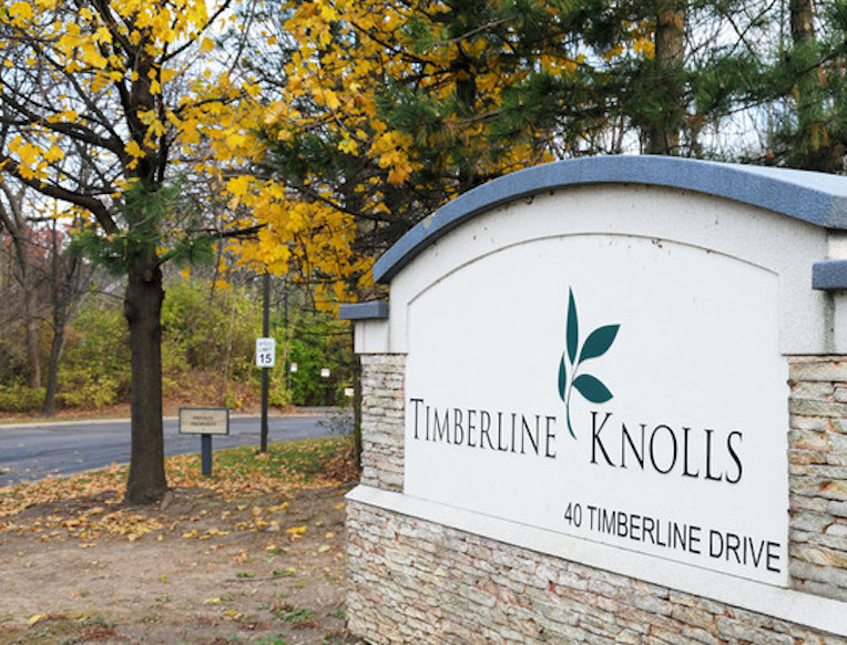 Timberline Knolls Goop