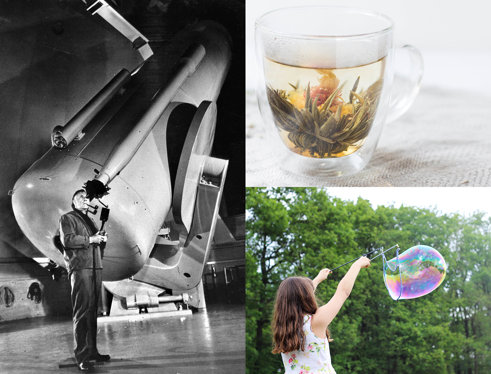 Flu Warnings + Other Stories Goop