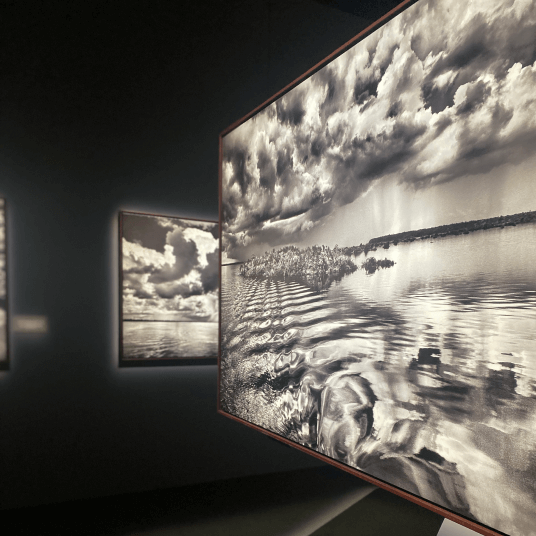 One Perfect Day in Paris, Florence, and Los Angeles Goop