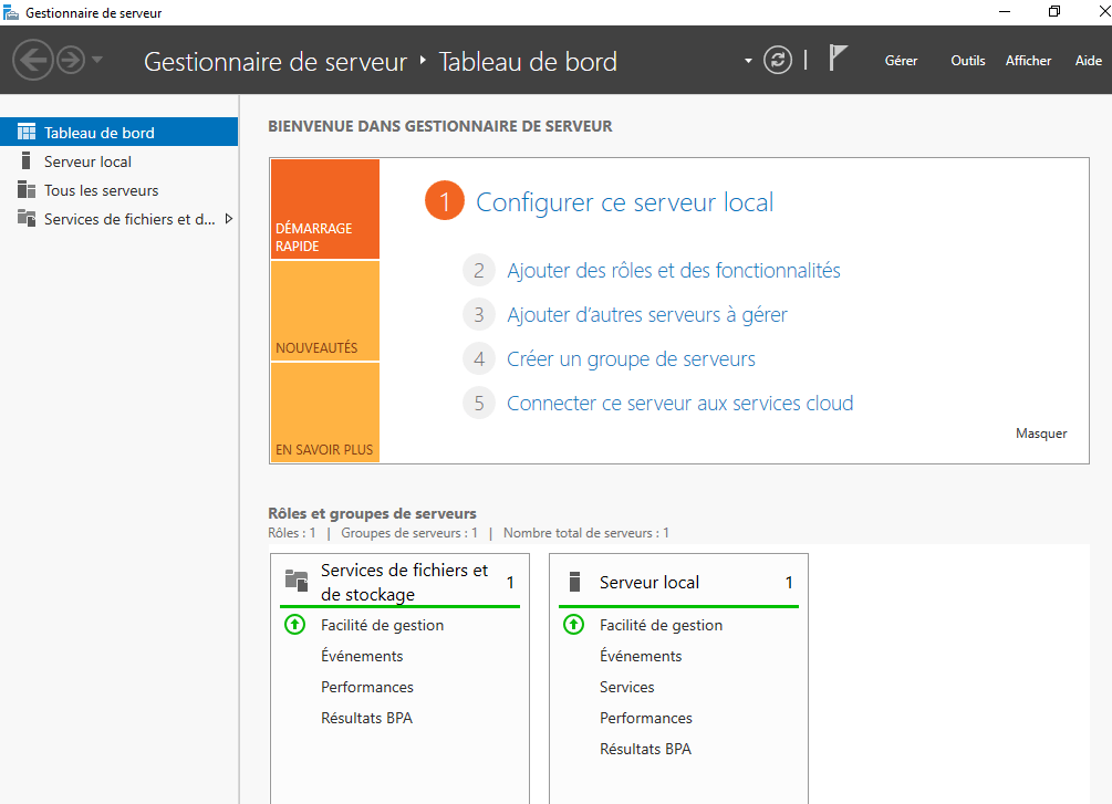 DNS sous Windows Server 2019 GO Open Source