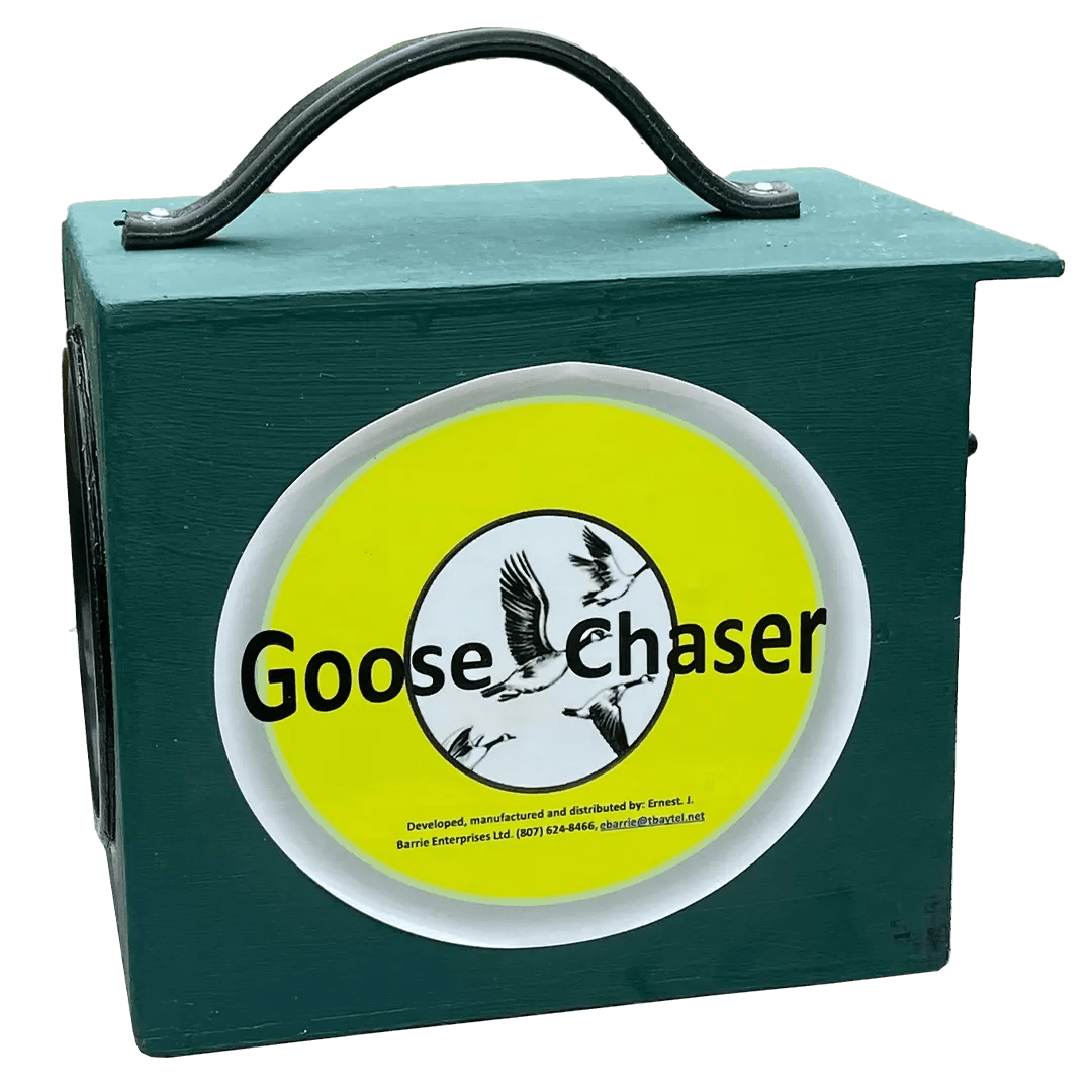 Goose Chaser Goose Chaser