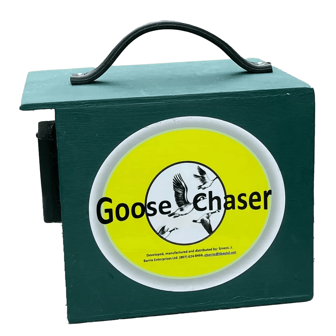 Goose Chaser Goose Chaser
