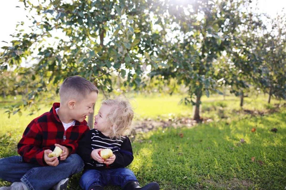 2023 Oshkosh Fall Guide for Apple Orchards, Pumpkins & Farms!