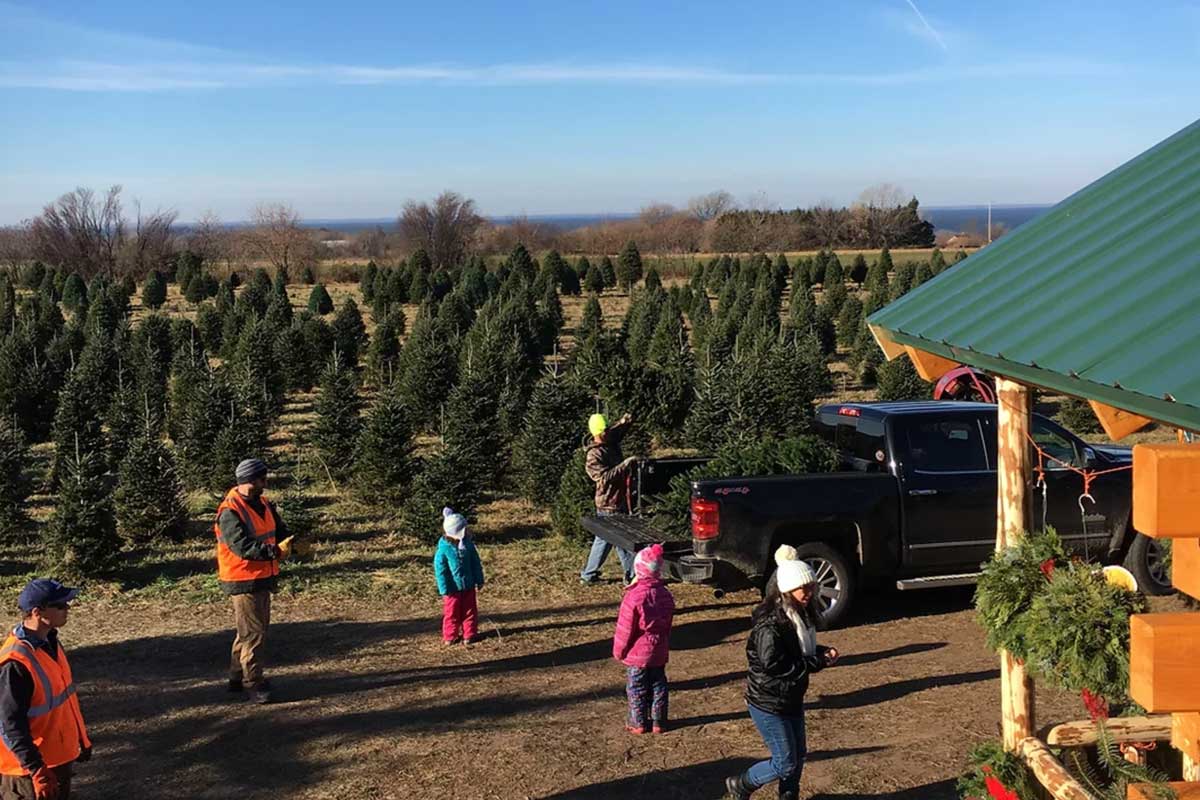 Find the Perfect Christmas Tree Farm Near Oshkosh! Go Oshkosh Kids