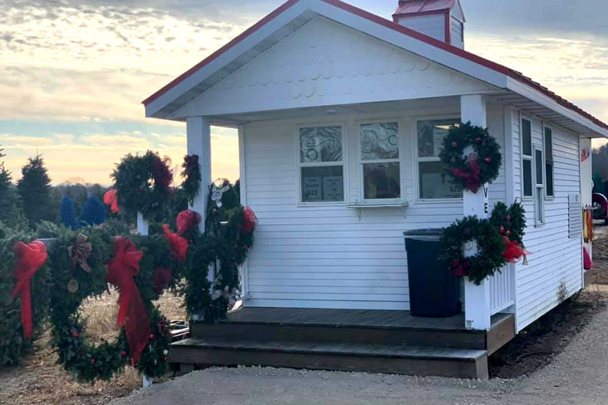 Find the Perfect Christmas Tree Farm Near Oshkosh! Go Oshkosh Kids