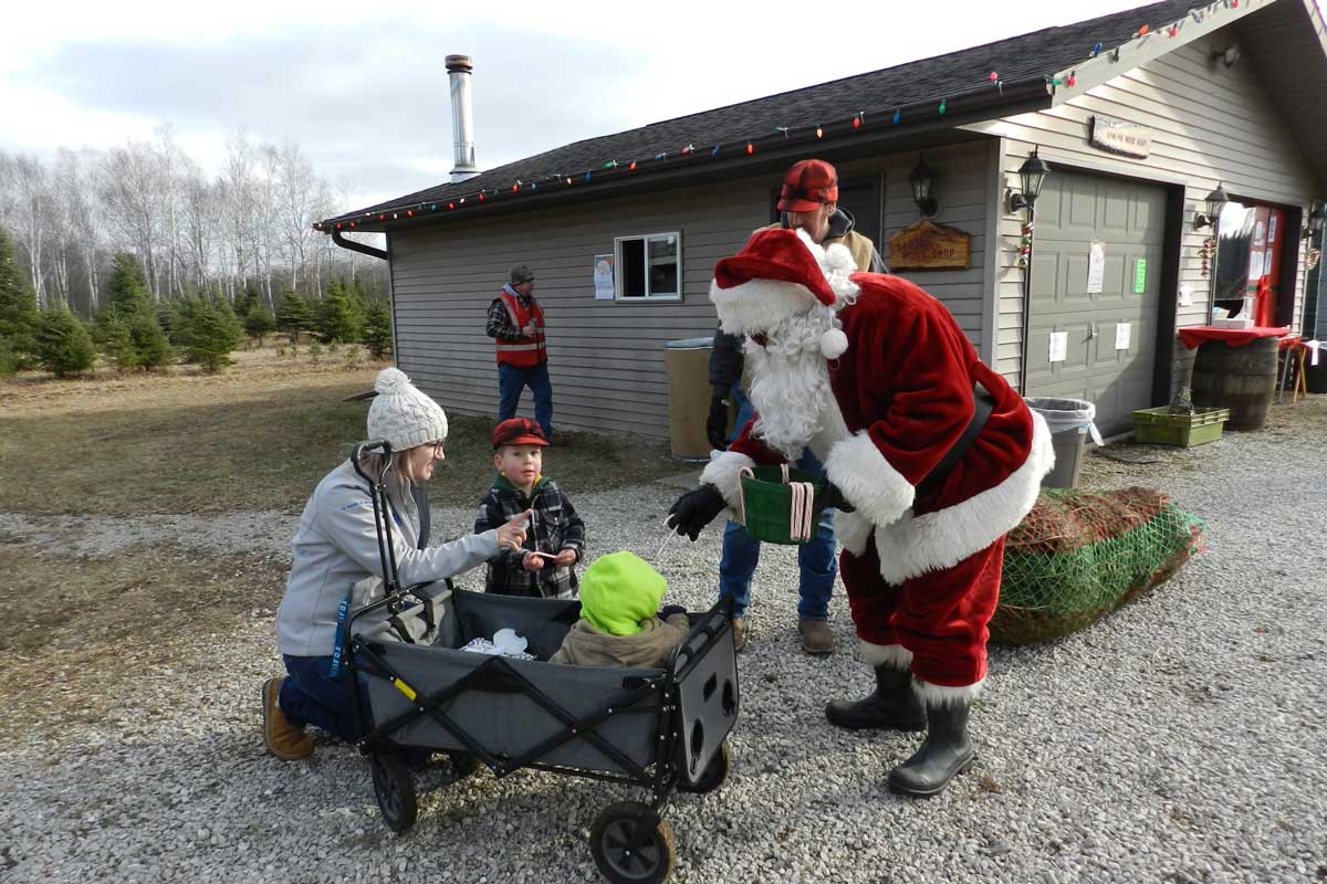 Find the Perfect Christmas Tree Farm Near Oshkosh! Go Oshkosh Kids