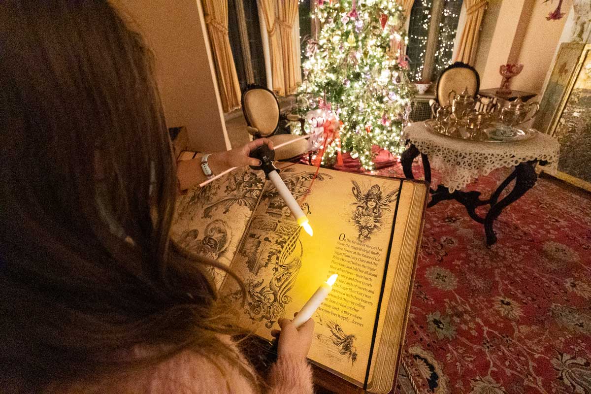 Not to Be Missed Nutcracker Experience at the Paine— Reservations Open