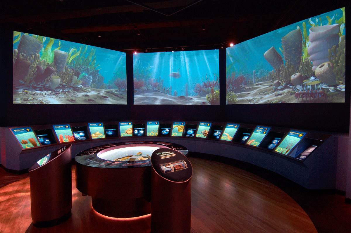 Chicago's Field Museum Looks to Goo! Goo Systems Global