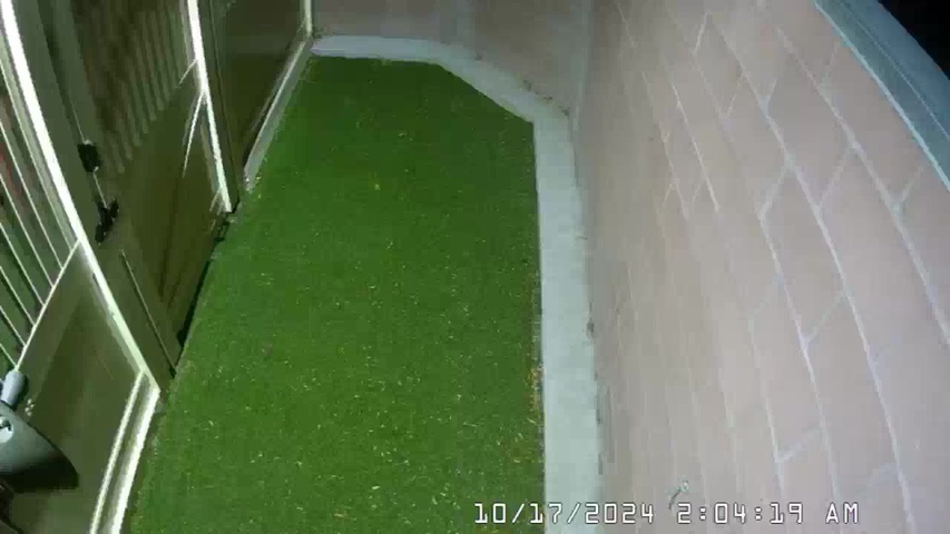 Camp Bow Wow Teacup Outdoor United States Colorado Springs Webcam