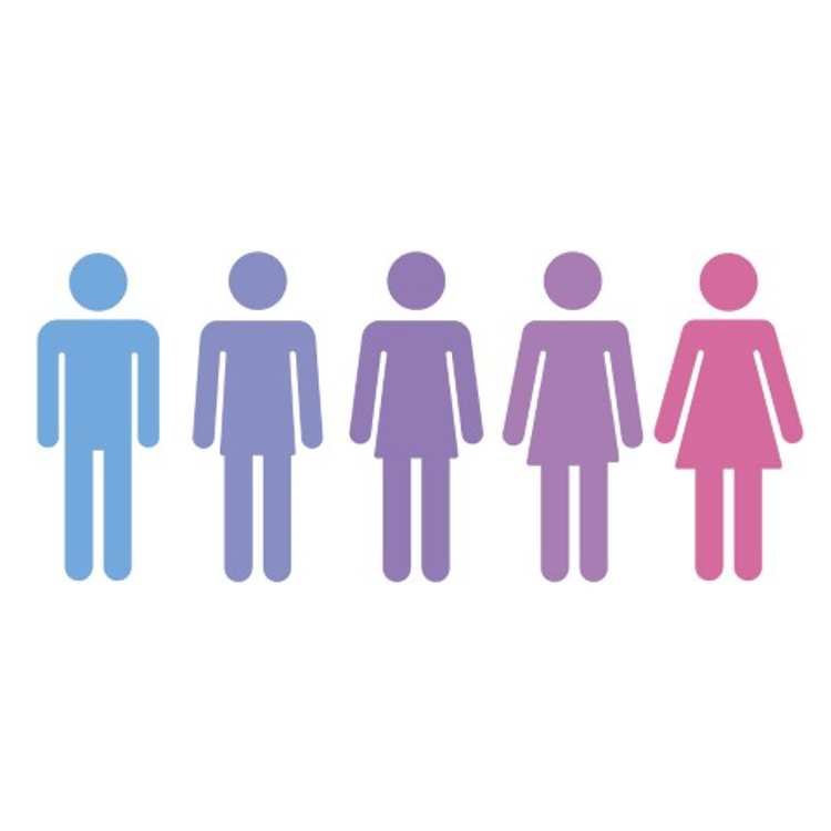 A DATABASE OF INDICATORS FOR GENDER EQUALITY GOPA’S COOPERATION WITH