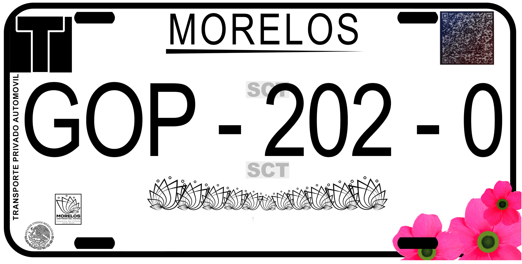 Gestoría de placas de Morelos desde CDMX Gestor de placas Morelos