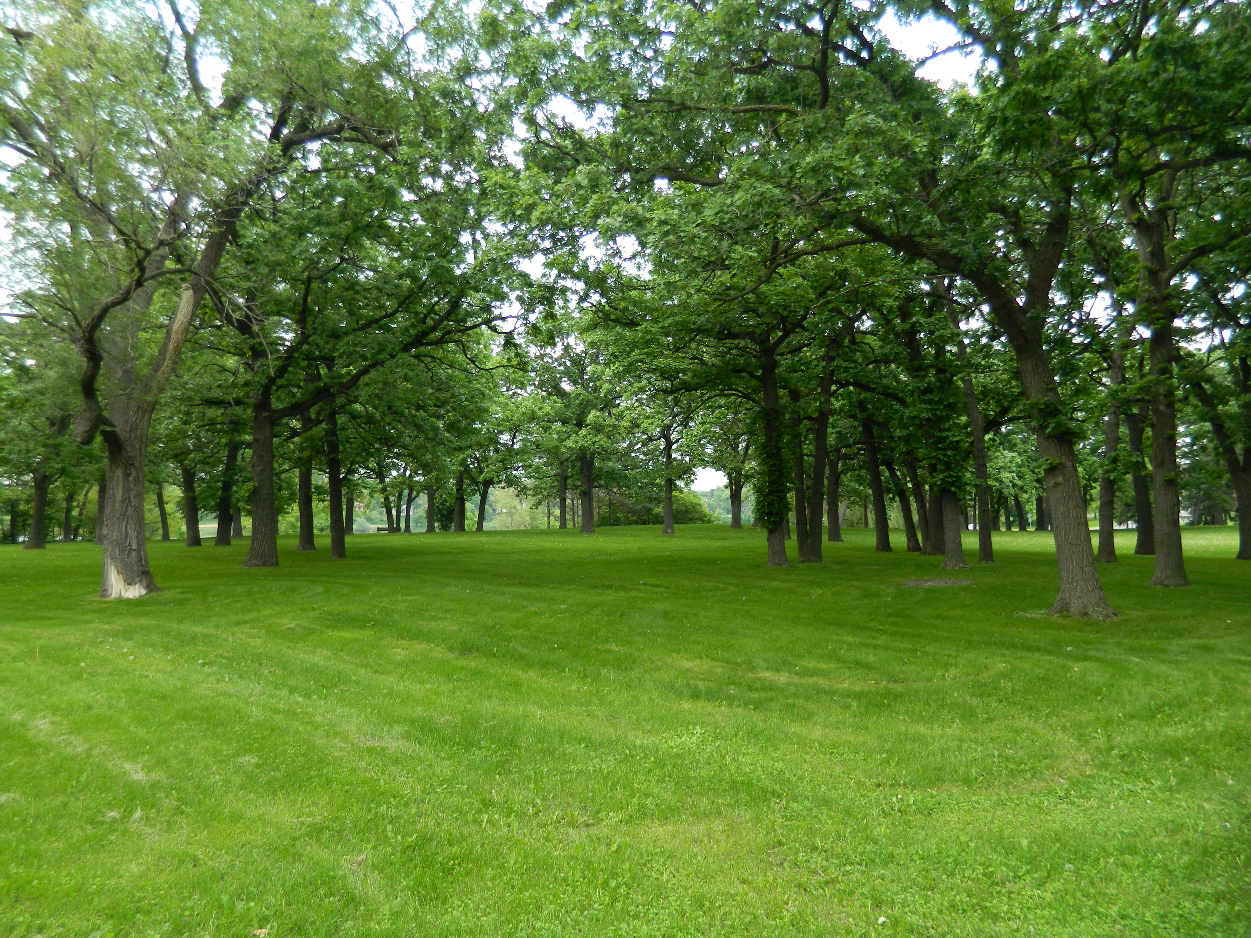 The Chatsworth 3 Gopher Properties