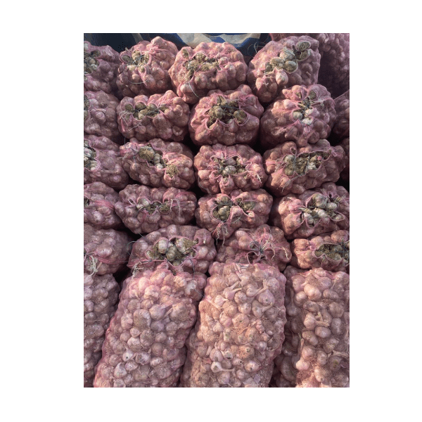 Kashmiri Garlic Sri Gopi Garlic