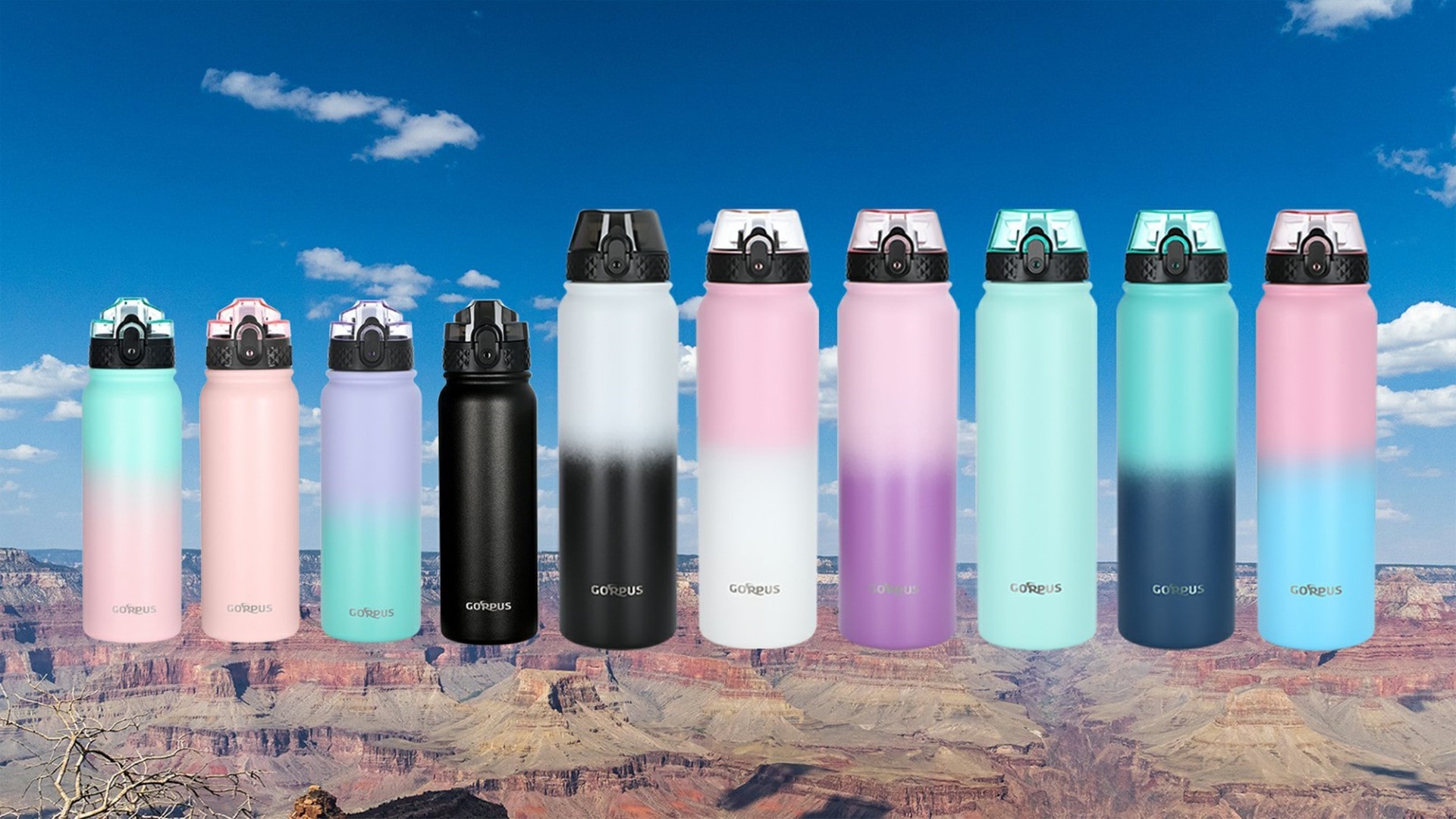 Insulated Bottle – Goppus