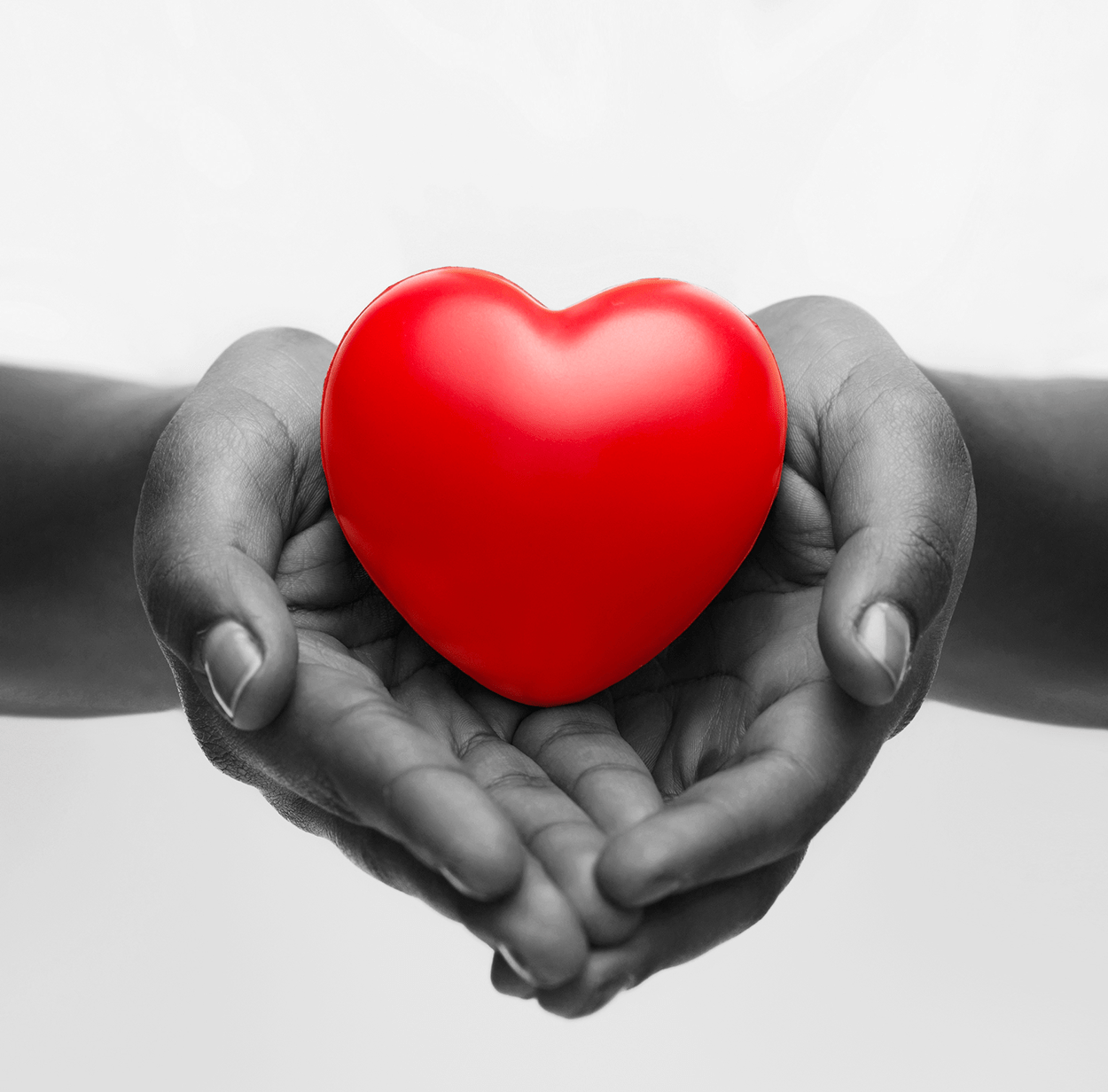 Non Profit Direct Mail Solutions Evergreen Printing