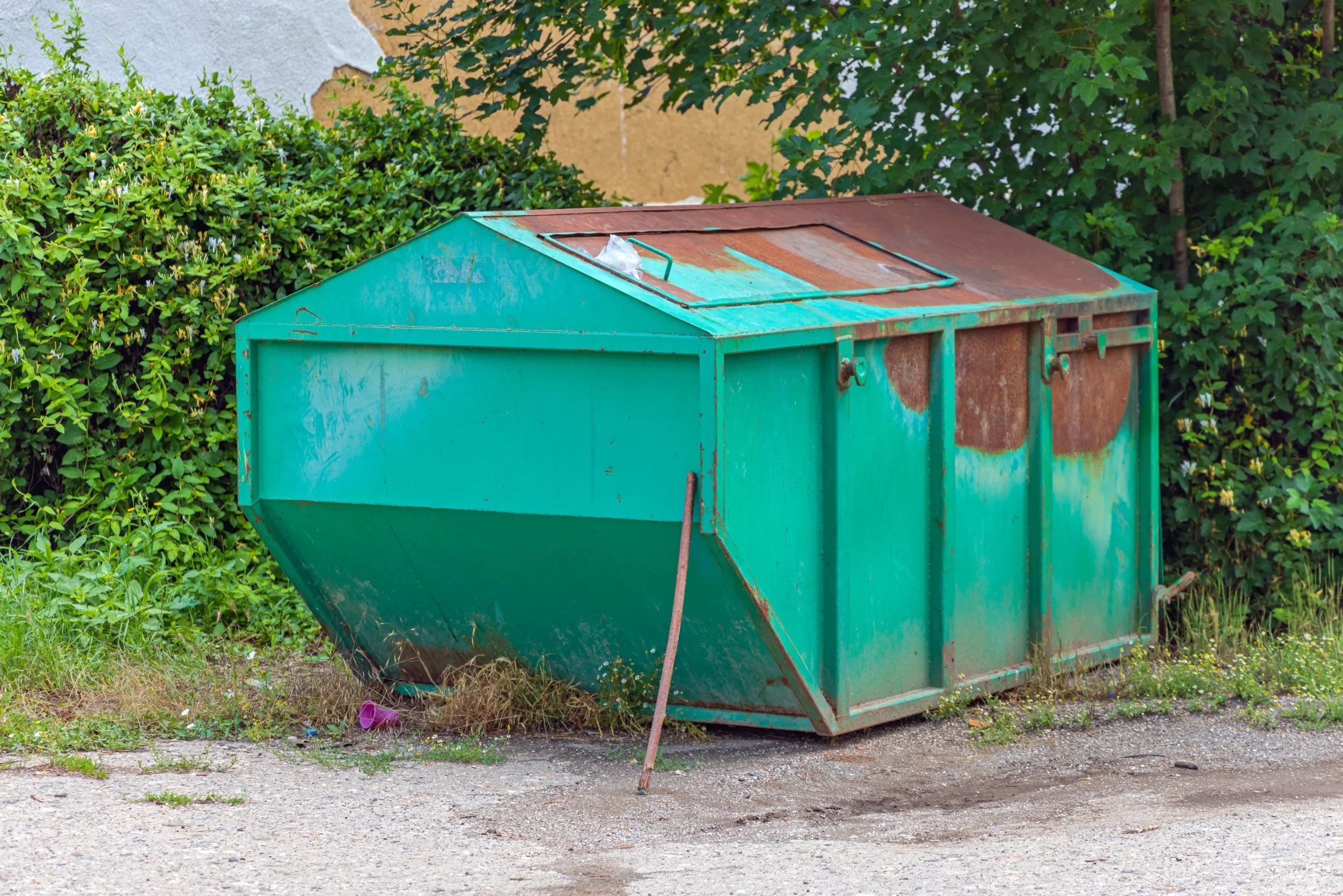 Dumpster Rental Guide 7 Tips for EcoFriendly Waste Disposal
