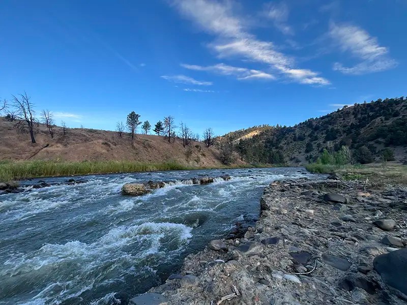 East Fork of the Carson River River Rafting Guide