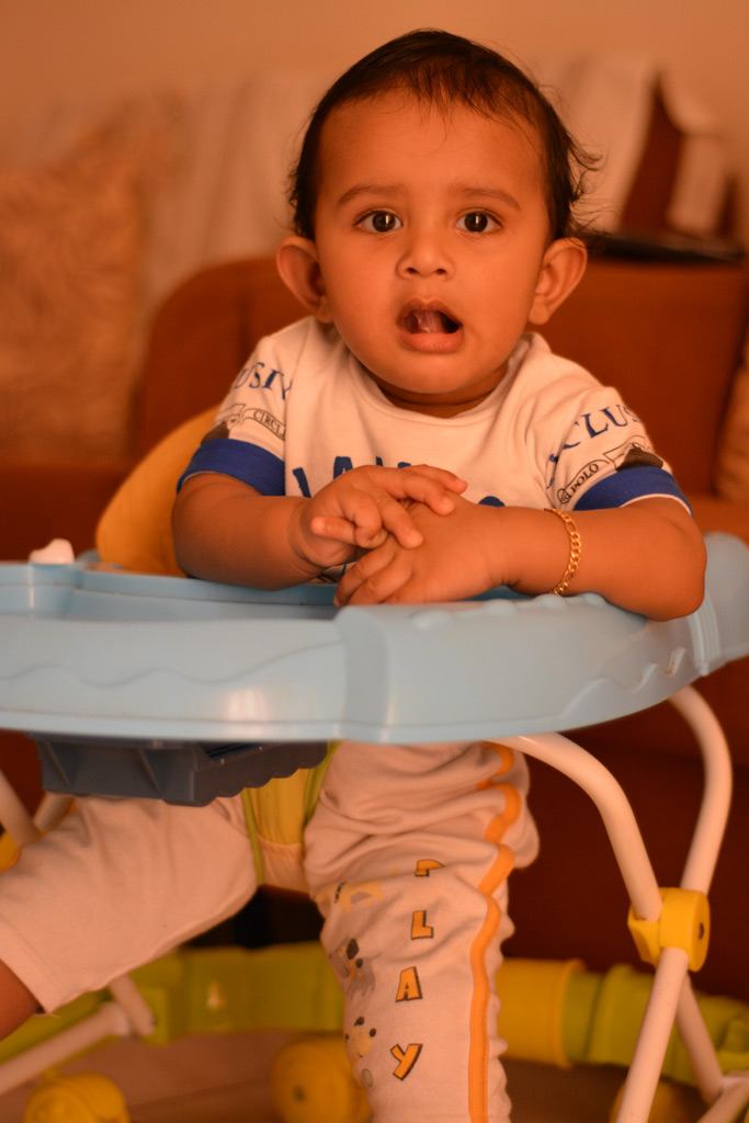 Image Gallery, My Clicks, Madhav