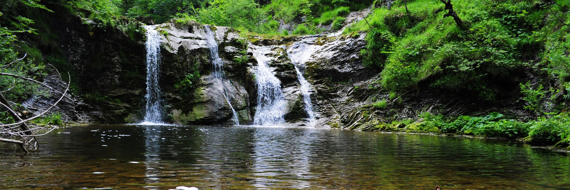 Gordon & Long Real Estate NEPA Commercial & Vacant Land