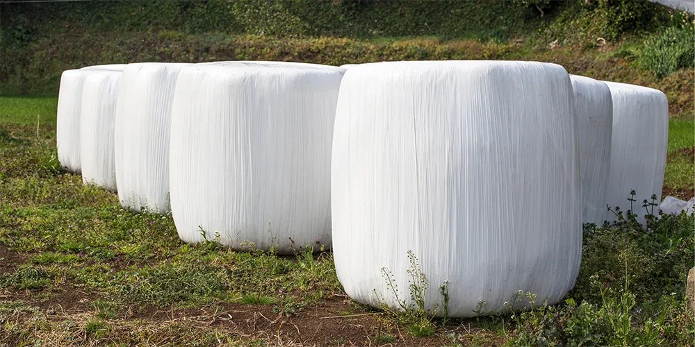 Departments Gordon's Feed & Pet