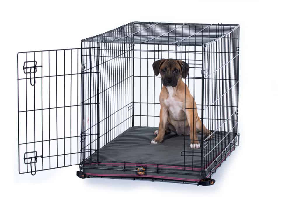 Gorilla Ballistic Tough Orthopedic Dog Crate Pad ™ Chew Proof Dog Beds
