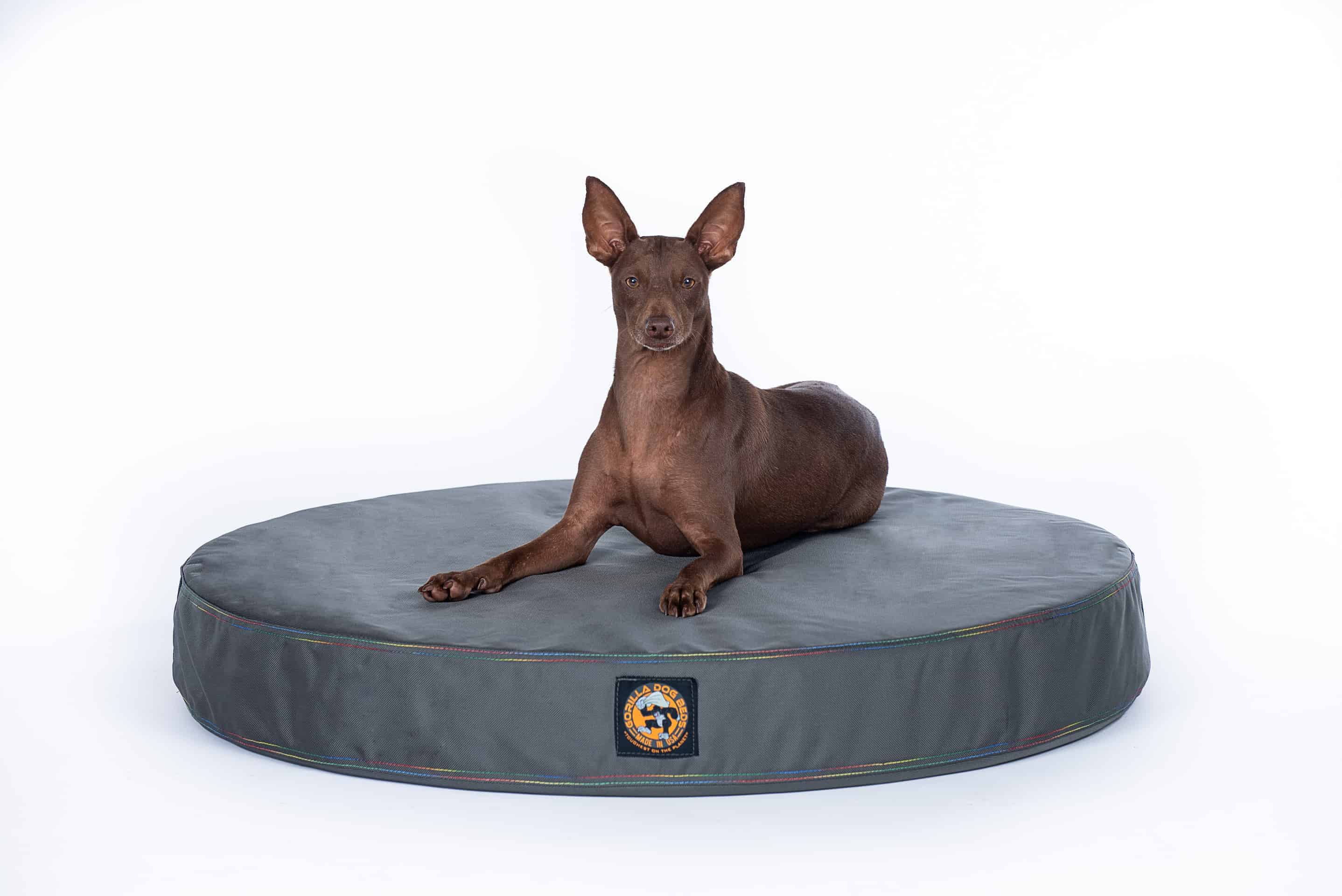 Chew Proof Ballistic Orthopedic Dog Bed Gorilla Dog Beds®