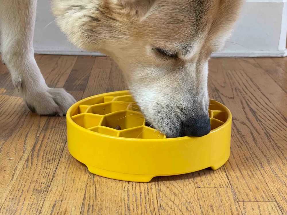NEW! Slow Feeder Bowl Chew Proof Dog Beds