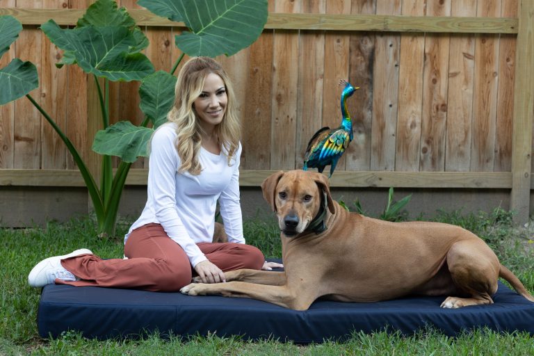 Solid Color Gorilla Ballistic Tough Rectangular Orthopedic Dog Bed™