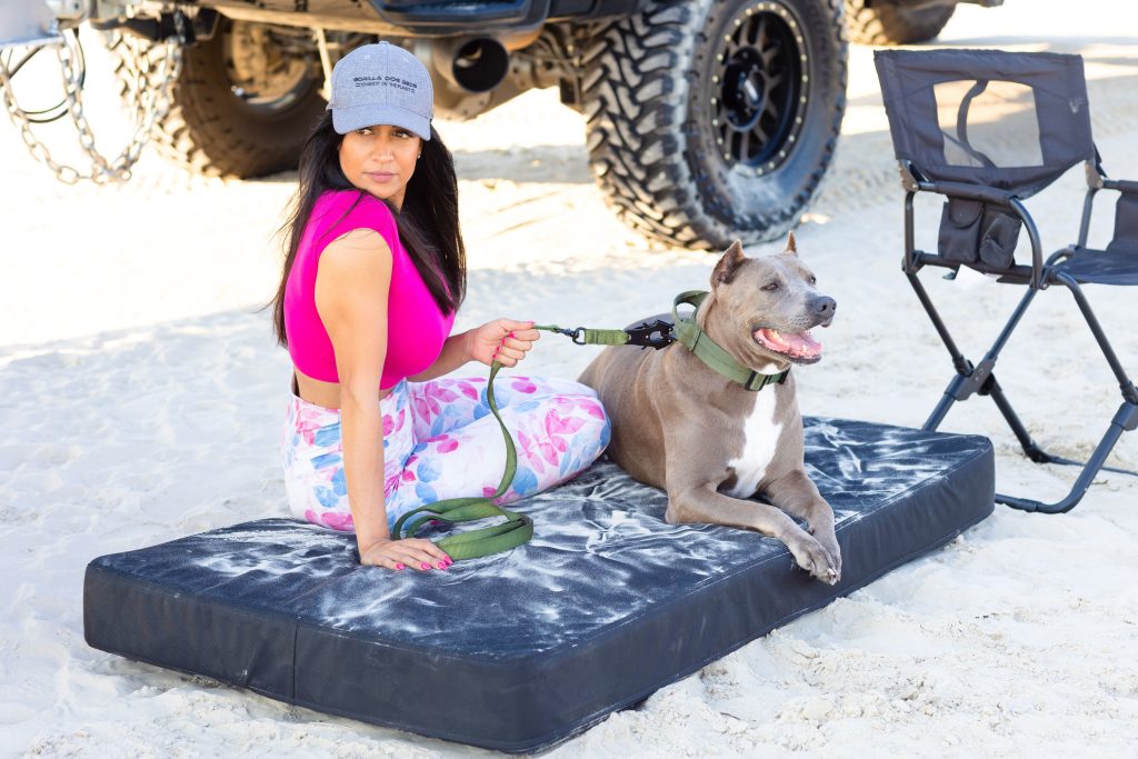 Solid Color Gorilla Ballistic Tough Rectangular Orthopedic Dog Bed™