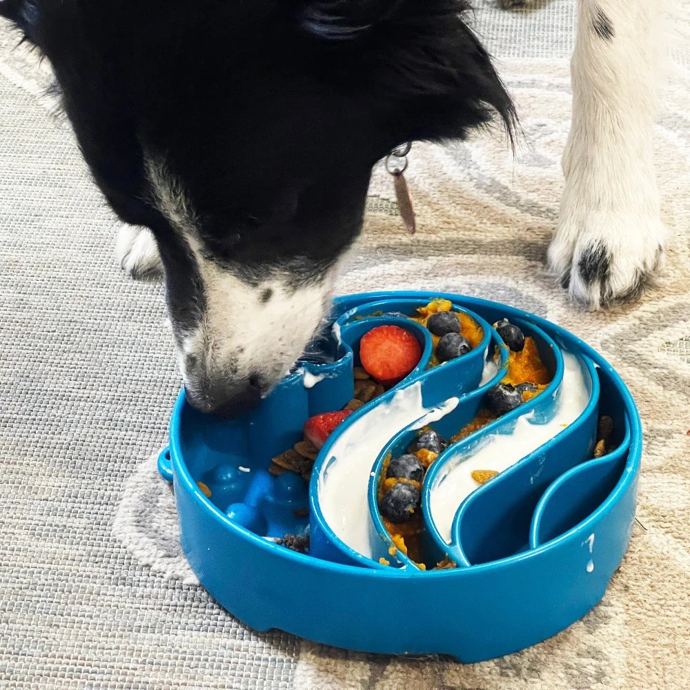 NEW! Wave Bowl Enrichment Slow Feeder Bowl Chew Proof Dog Beds