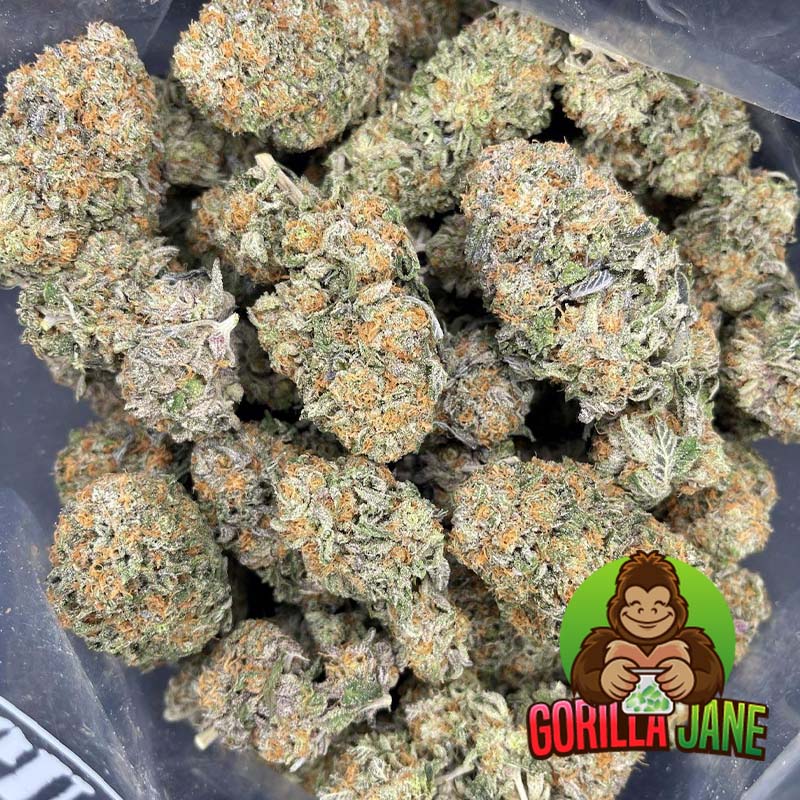 Buy Orange Crush Weed Buy Weed Online Gorilla Jane