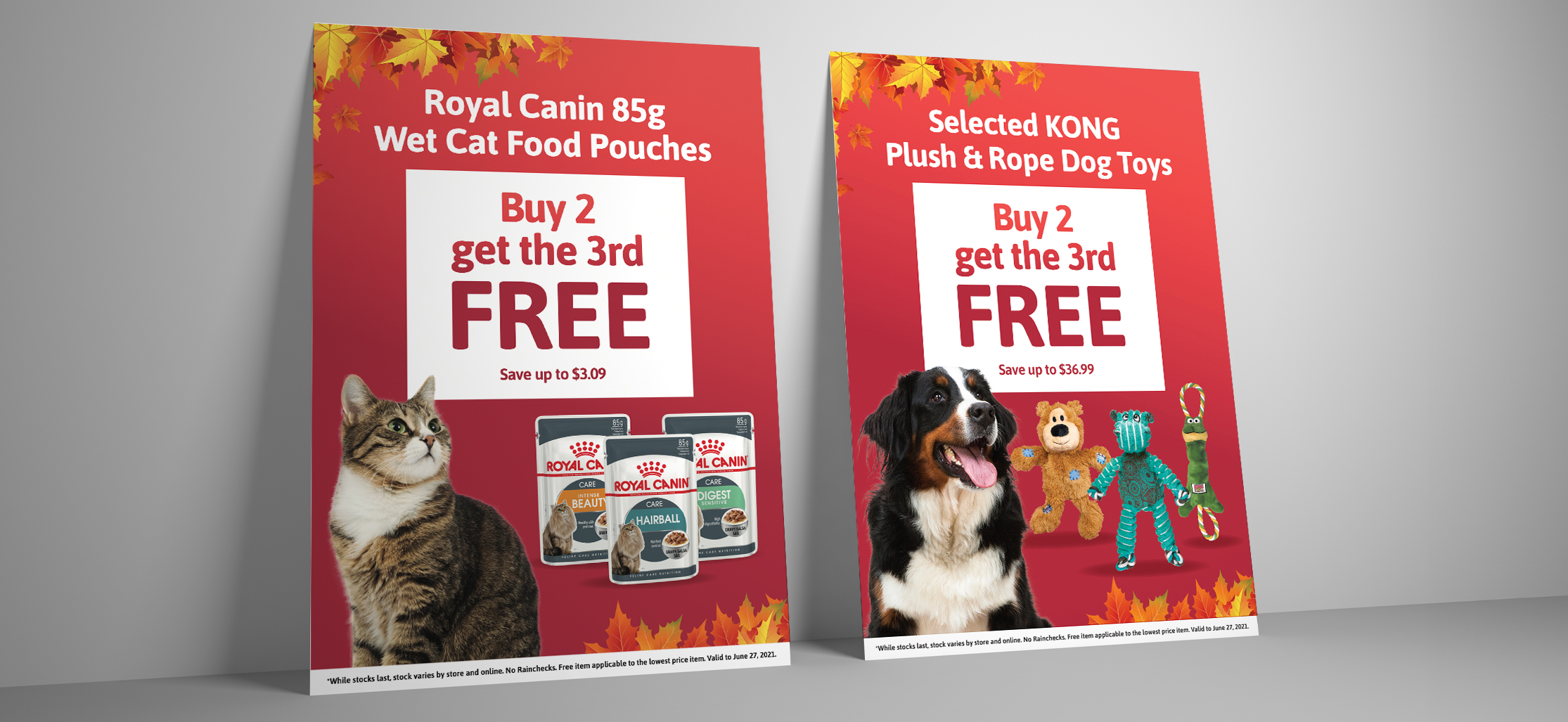 Best Friends Pets Gorilla