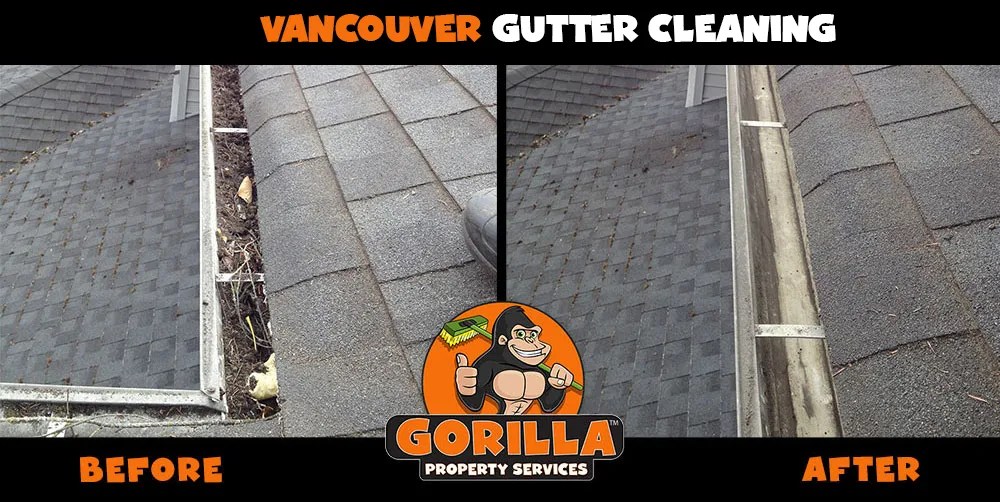 Vancouver Gutter Cleaning Gorilla Property Services