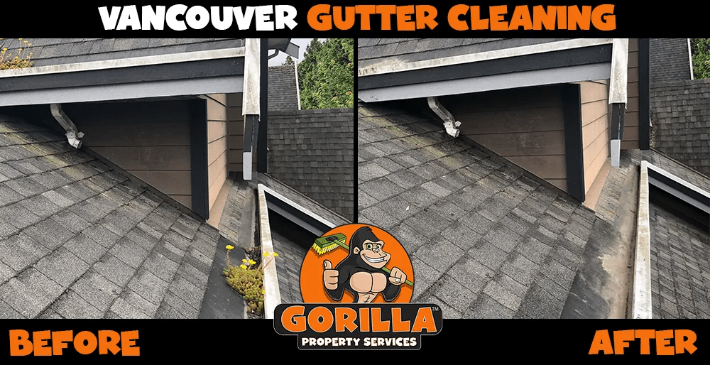 Vancouver Gutter Cleaning Gorilla Property Services