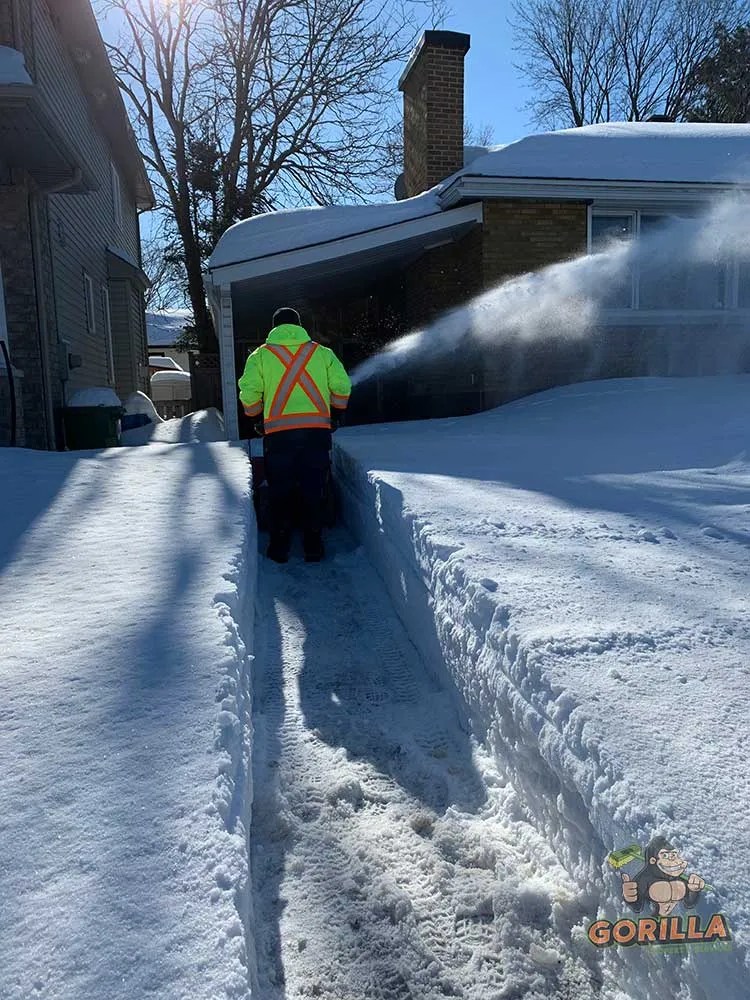 Scheduled Snow Removal & Salting Services Gorilla Property Services