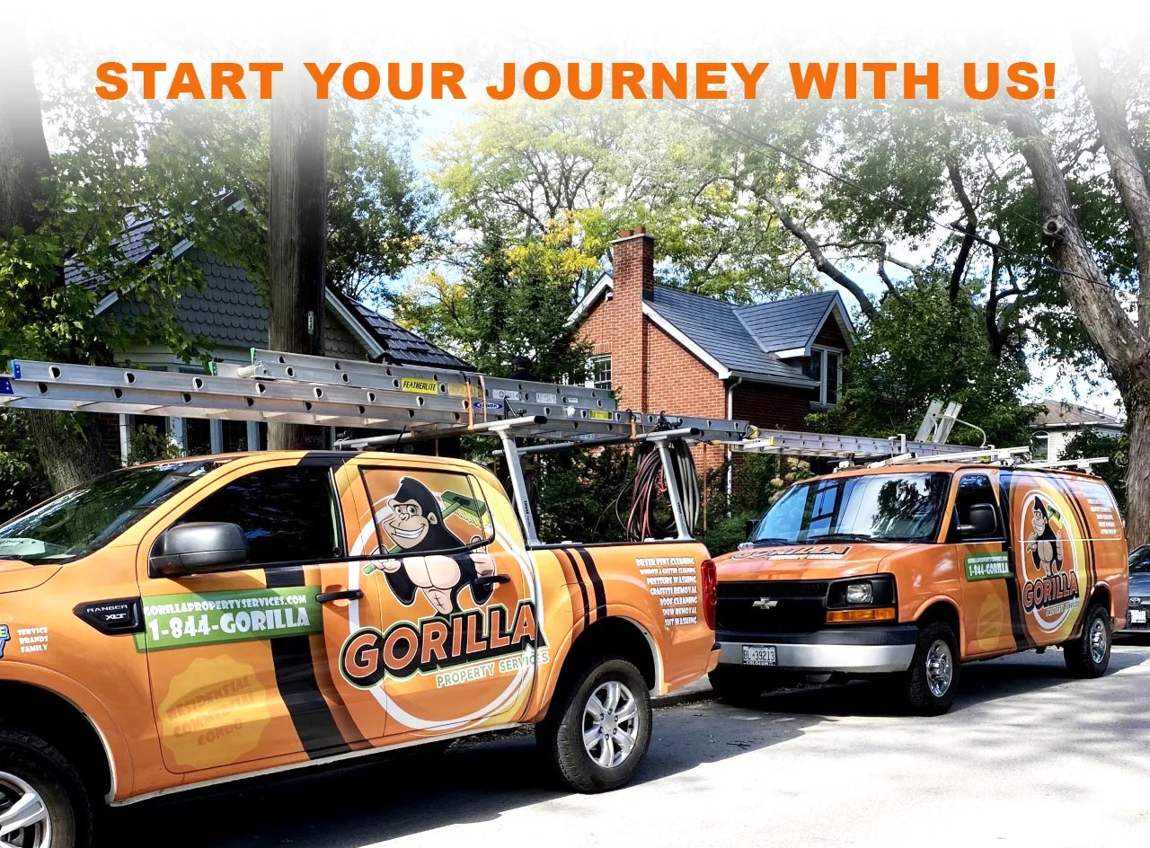 Franchise with us! a Gorilla today! Gorilla Property Services