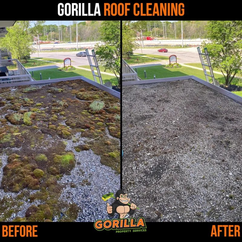 Why gutter and roof cleaning should be at the top of your home