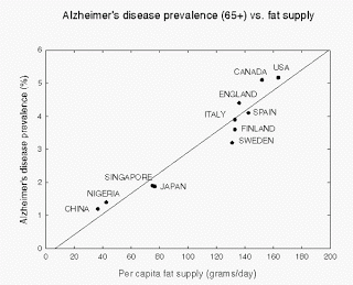 High-Fat Diet Causes Alzheimer’s Disease