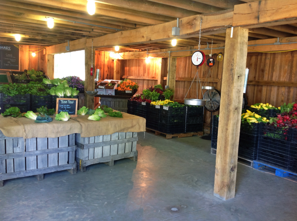 Crop List Gorman Produce Farm Howard County Maryland