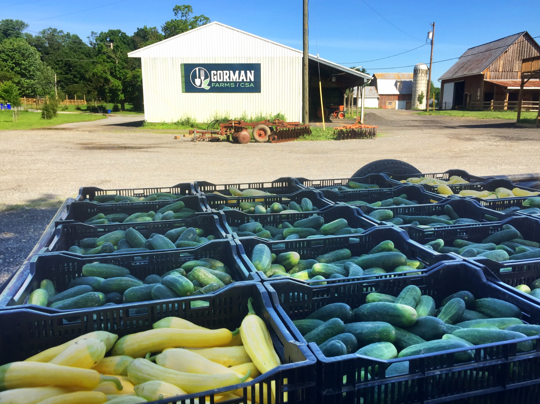 Giving Back Gorman Produce Farm Howard County Maryland