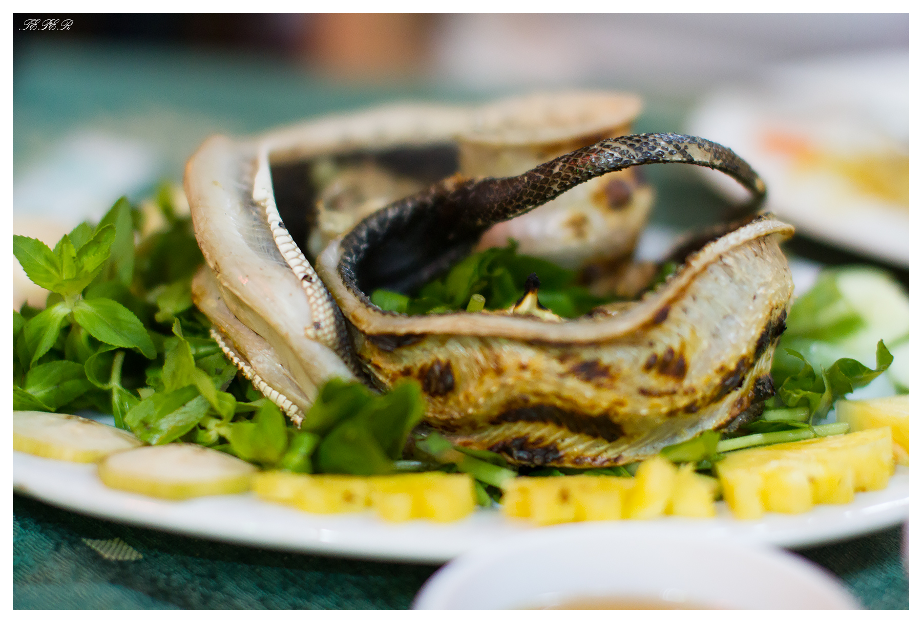 Snake Dish Fine Art Ceramics Art & Collectibles