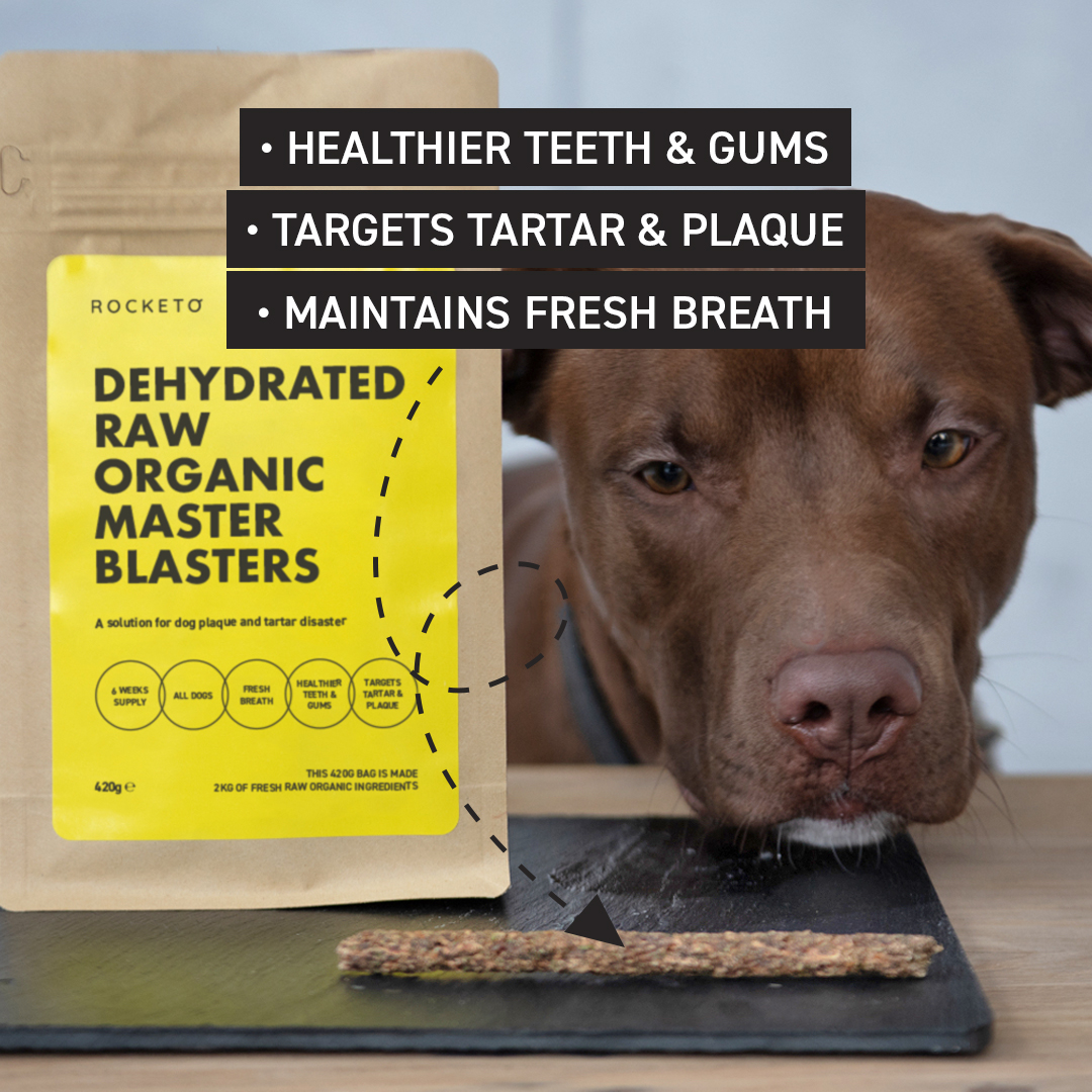 Organic Healthy Skin & Coat Dog Box ROCKETO